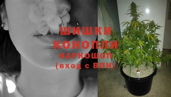 трава Осташков