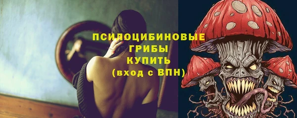 эйфоретик Осинники
