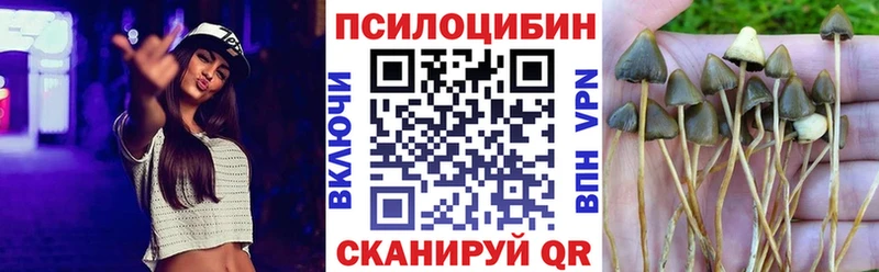 Псилоцибиновые грибы мухоморы Белоозёрский