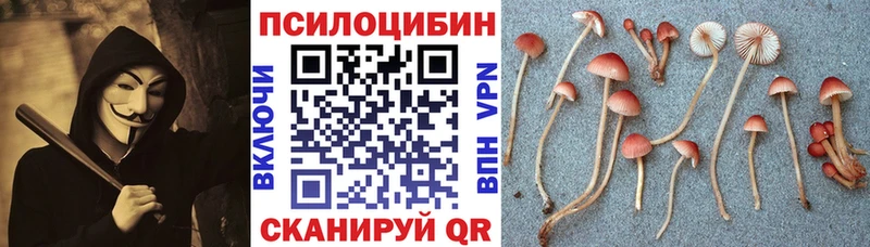 Псилоцибиновые грибы прущие грибы  наркошоп  МЕГА онион  Белоозёрский 